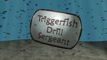 Imagen 6 de Triggerfish Drill Sergeant