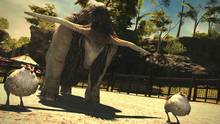 Imagen 387 de Final Fantasy XIV: Heavensward