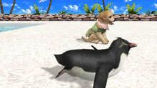Imagen 6 de Animalz Diversin en la Playa!