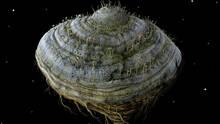 Imagen 5 de Samorost 2