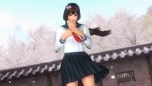 Imagen 234 de Dead or Alive 5: Last Round
