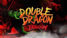 Imagen 8 de Double Dragon Trilogy