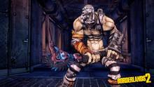 Imagen 38 de Borderlands: Una coleccin muy guapa