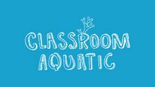Imagen 5 de Classroom Aquatic