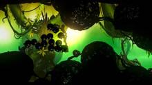 Imagen 7 de Badland: Game of the Year Edition