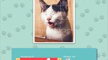 Imagen 4 de 1001 Jigsaw. Cute Cats