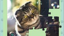 Imagen 5 de 1001 Jigsaw. Cute Cats