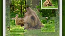 Imagen 4 de 1001 Jigsaw. Wild Animals