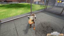 Imagen 15 de Animal Shelter Simulator