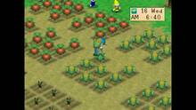 Imagen 3 de Harvest Moon: Back to Nature