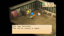 Imagen 5 de Harvest Moon: Back to Nature
