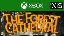 Imagen 26 de The Forest Cathedral