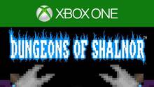 Imagen 20 de Dungeons of Shalnor
