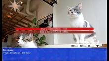 Imagen 14 de Cat President: A More Purrfect Union