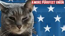 Imagen 16 de Cat President: A More Purrfect Union