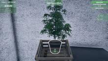 Imagen 5 de Weed Supermarket Simulator: Prologue