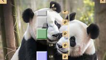 Imagen 7 de Buscaminas