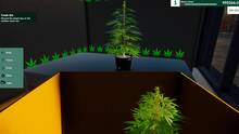 Imagen 45 de WEED SHOP SIMULATOR