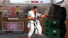 Imagen 7 de Karate Master 2 Knock Down Blow