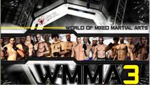 Imagen 3 de World of Mixed Martial Arts 3