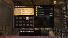 Imagen 233 de Dragon Quest Heroes II