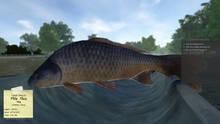Imagen 4 de Carp Fishing Simulator