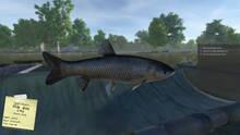 Imagen 7 de Carp Fishing Simulator