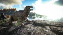 Imagen 209 de ARK: Survival Evolved