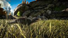Imagen 249 de ARK: Survival Evolved