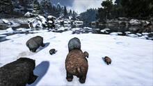 Imagen 124 de ARK: Survival Evolved