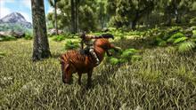 Imagen 299 de ARK: Survival Evolved