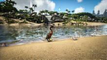 Imagen 330 de ARK: Survival Evolved