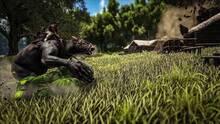 Imagen 235 de ARK: Survival Evolved