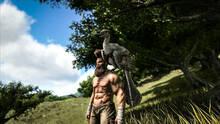 Imagen 287 de ARK: Survival Evolved