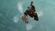 Imagen 98 de Monster Hunter Generations