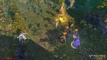 Imagen 38 de Sword Coast Legends