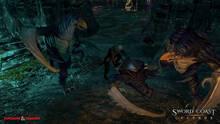 Imagen 87 de Sword Coast Legends