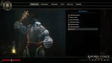 Imagen 93 de Sword Coast Legends