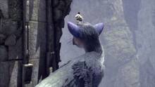Imagen 125 de The Last Guardian