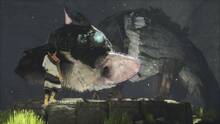 Imagen 112 de The Last Guardian
