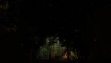 Imagen 1 de Fireflies
