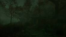 Imagen 11 de The Cursed Forest