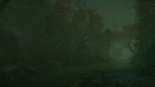 Imagen 10 de The Cursed Forest