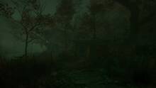 Imagen 27 de The Cursed Forest