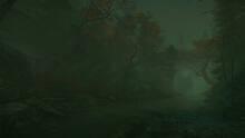 Imagen 17 de The Cursed Forest