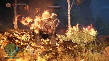 Imagen 136 de Far Cry Primal