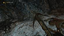 Imagen 78 de Far Cry Primal