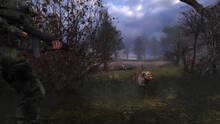 Imagen 63 de S.T.A.L.K.E.R.: Shadow of Chernobyl