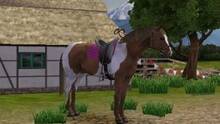 Imagen 2 de Horse Life 4