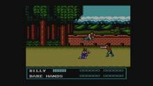 Imagen 2 de Double Dragon III: The Sacred Stones CV